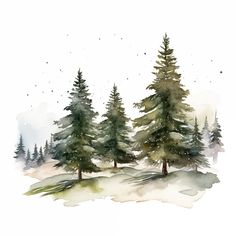 watercolor painting of pine trees in the snow on a white background with space for text