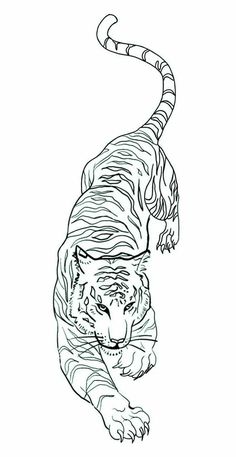 a drawing of a tiger in black and white