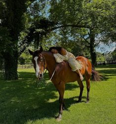 taylor giavasis Horses In Desert, Aesthetic Horse Riding Pictures, Land With Horses, Hobby Farm Aesthetic, Farm Animals Aesthetic, Arizona Farm, Taylor Giavasis, Miley Stewart Summer