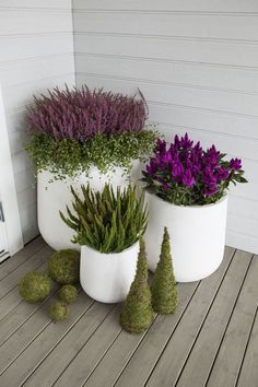 three potted plants sitting on top of a wooden floor next to purple flowers and trees