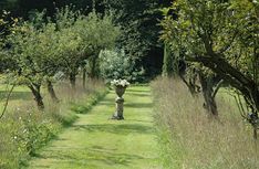 an image of a garden setting with trees and flowers in the grass on either side of the path