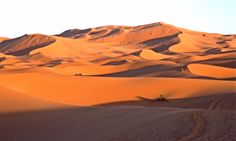 the desert is covered in sand dunes and trees