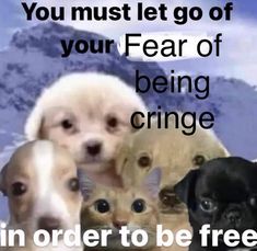 there are dogs and cats standing together in front of a sign that says you must let go of your fear of being cringe