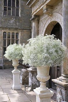 three white vases with baby's breath flowers in them sitting on pedestals