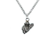 Meteorit Eisenmeteorit Anhänger mit Edelstahlkette und Echtheitszertifikat. Durable Silver Jewelry Gift, Durable Silver Necklace For Gift, Silver Necklace Gift, Gift Card, Things To Sell, Best Deals, Free Shipping