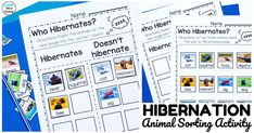 two posters with different animals on them and the words hibernation are in white letters