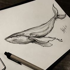 a drawing of a humpback whale with its mouth open and it's tail curled up