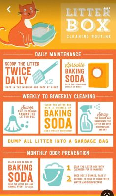 the little box cleaning routine poster