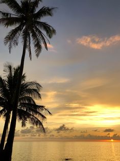 the sun is setting over the ocean with two palm trees in front of it,