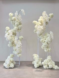 two tall white flowers are on display in front of a wall