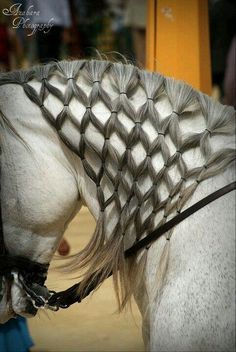 a white horse with braids on it's back