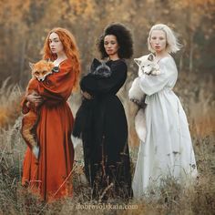 three women dressed up as witches and one with a fox on her shoulder, standing in tall grass