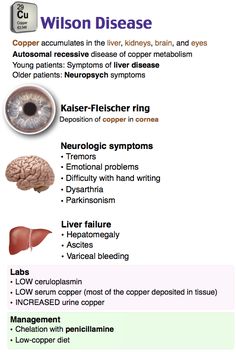 an info sheet describing the different types of livers and their functions