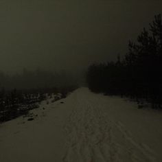 a snow covered road with trees and bushes on both sides in the distance, at night