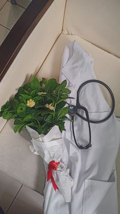 a potted plant with a stethoscope on top of it next to a white shirt