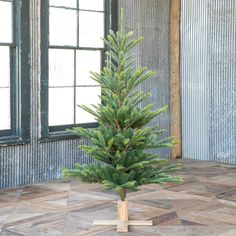 a small pine tree in a wooden pot