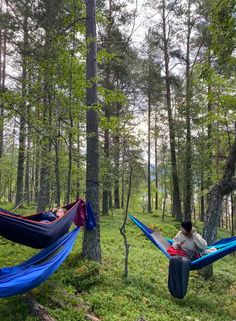 two people sitting in hammocks in the woods