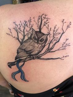 an owl sitting on top of a tree branch