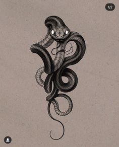 a drawing of a snake with eyes on it's head and tail, in black ink