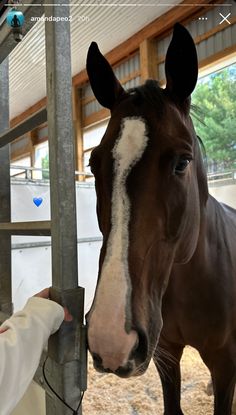 a person is petting a horse in a stable