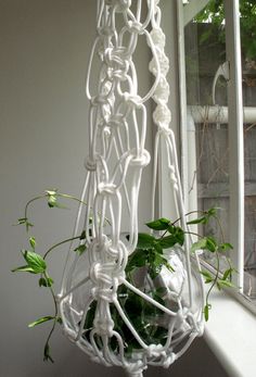 a potted plant hanging from a window sill