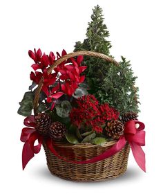 a basket filled with lots of red flowers next to pine cones and greenery on top of a white background