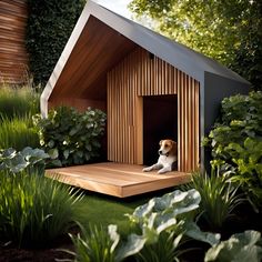 a dog is sitting in a small wooden house on the grass with plants around it