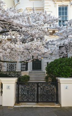 a tree with white flowers is in front of a gate and some bushes on the sidewalk