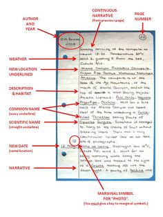 an image of a document with the names and numbers in red, white and blue