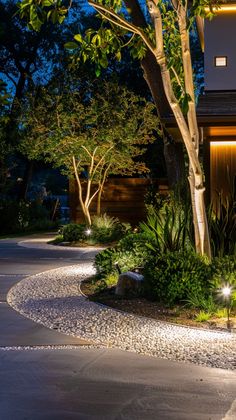 a house with lights on the side of it and trees in the front yard at night