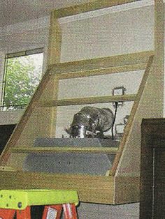 a cat sitting on top of a wooden shelf next to a window in a room