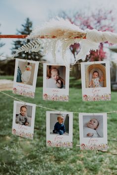 some pictures hanging from a clothes line in the grass with a feather on top of it