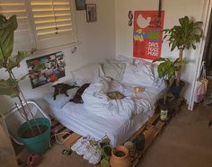 an unmade bed in a room with lots of plants on the floor next to it