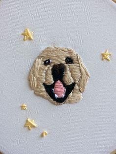 a close up of a dog's face with stars