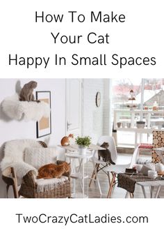 two cats sitting on chairs in a room with the words how to make your cat happy in small spaces