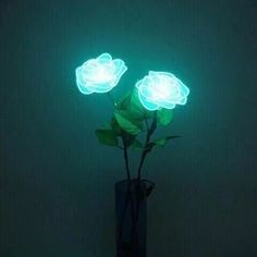 two glowing roses in a dark vase