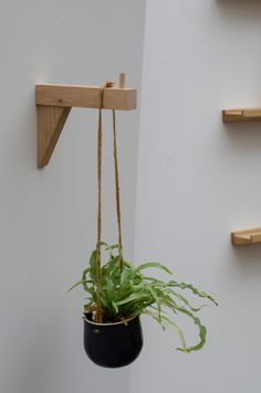 a potted plant hanging from a wooden hook on a wall next to some shelves