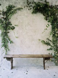 a wooden bench sitting in front of a wall covered with vines and ivy growing on it's sides