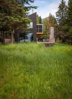 the house is surrounded by tall grass and trees