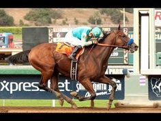 a jockey riding on the back of a brown horse