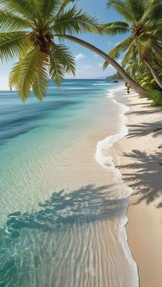 the beach is lined with palm trees and blue water