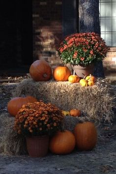 pumpkins and gourds on hay bales in front of a brick building