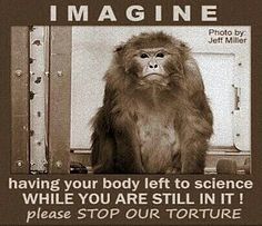 a monkey sitting in front of a mirror with the caption imagine your body left to science while you are still in it please stop our torture