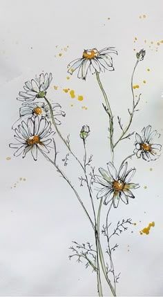 a drawing of some daisies on a white surface with yellow spots around them and watercolors