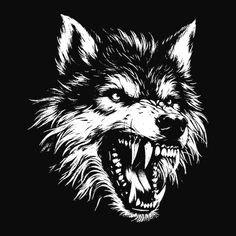 an angry wolf with its mouth open and teeth wide open, on a black background