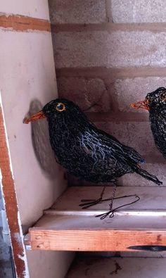 two black birds sitting on top of a wooden shelf