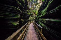 a wooden walkway in the middle of a narrow canyon with green moss growing on it