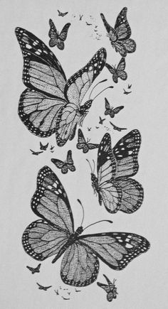 three butterflies flying in the air with one black and white photo behind them, while another is