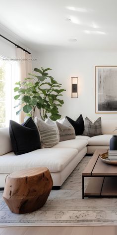 a living room filled with furniture and a large plant on top of a coffee table