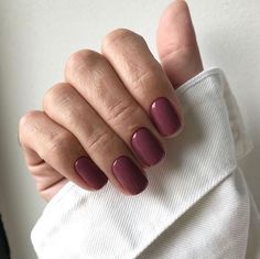 Mauve Nails, Gel Polish Colors, Fake Nail, Upgrade Your Look, Elegant Nails, Nail Kit, How To Do Nails